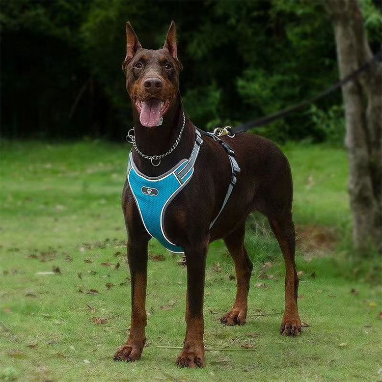 Thumbnail: Dog Harness Reversible Luxury Dog Harness