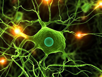 Data Science: Deep Learning and Neural Networks in Python