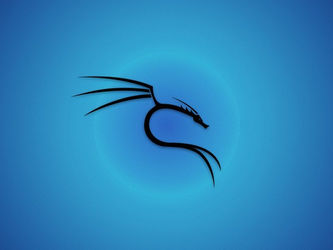 Learn Ethical Hacking Process with Kali Linux