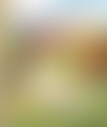 MOWMT March 18: Danna Smith Mines for Gold