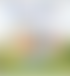 Author Spotlight: Lyn Miller-Lachmann, RYS Judge