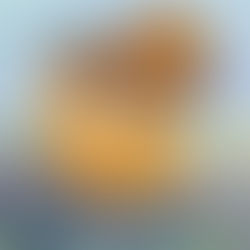 Meet Our April Guest Guru Erin Dealey