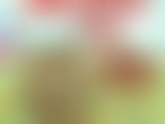 MO Day #22 Dea Lenihan Fills the Space