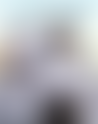 RE-VISION LESSONS FROM LIZZIE