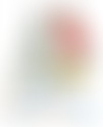 Remembering Paula Cohen Martin