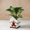 Thumbnail: Chinese Takeout Planter