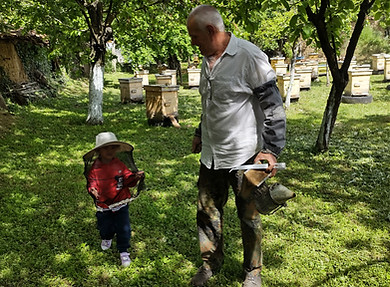 Биологични пчелни продукти Попови Калофер organic bee products Popovi Kalofer IMG_2022050