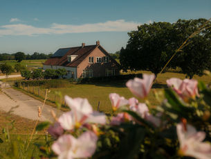 We gaan starten 🌳