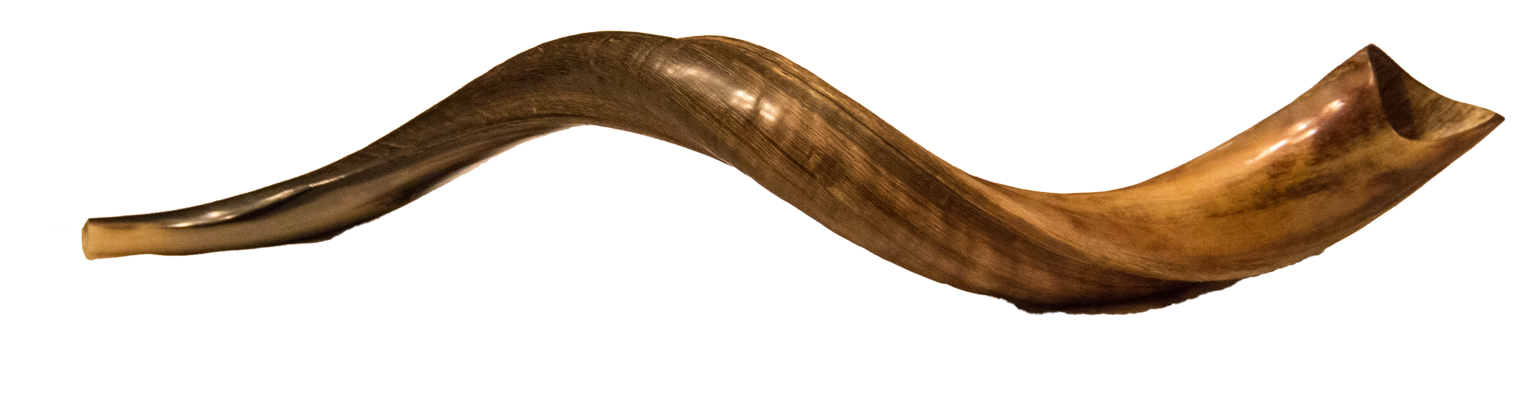 Shofar