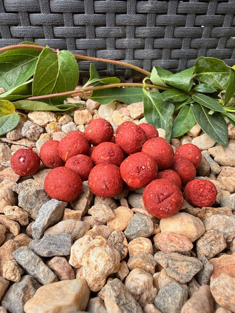 Miniature : Bouillettes Roby-Krill