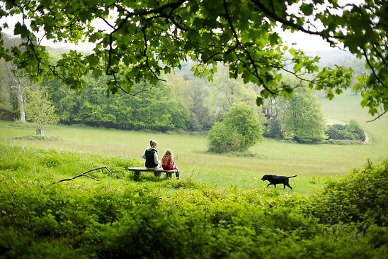 Family in Wiltshire countryside setting