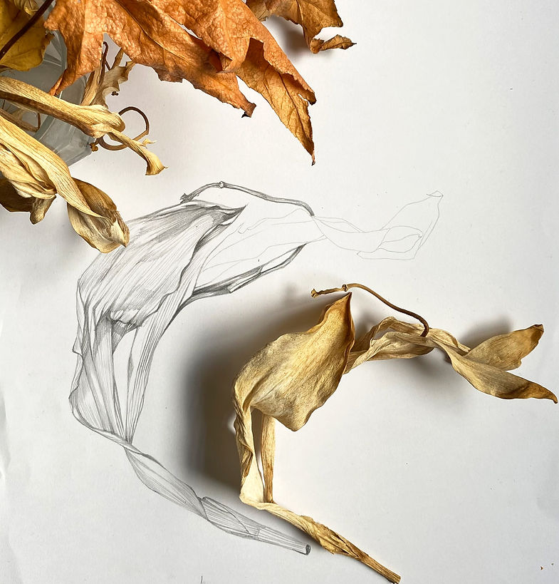 leaf progress_edited.jpg