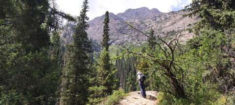 Kolsay Tour has the best hikes in Kyrgyzstan