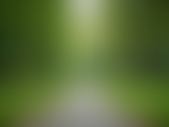 Sustainable Health: Coaching for Adults 50 and Up