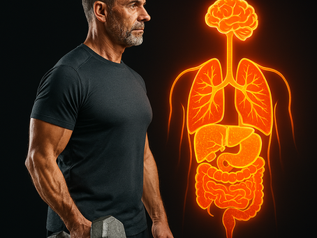 Rebuilding Your Engine: Why Your Metabolism Didn’t "Die" at 50