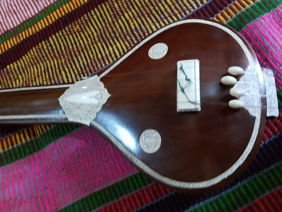 Miniatura: Tanpuri "Paloma"