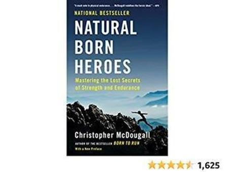 NATURAL BORN HEROES.jpg