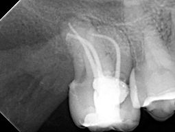 WhatsApp Image 2026-03-09 at 14.43.36 (1).jpeg