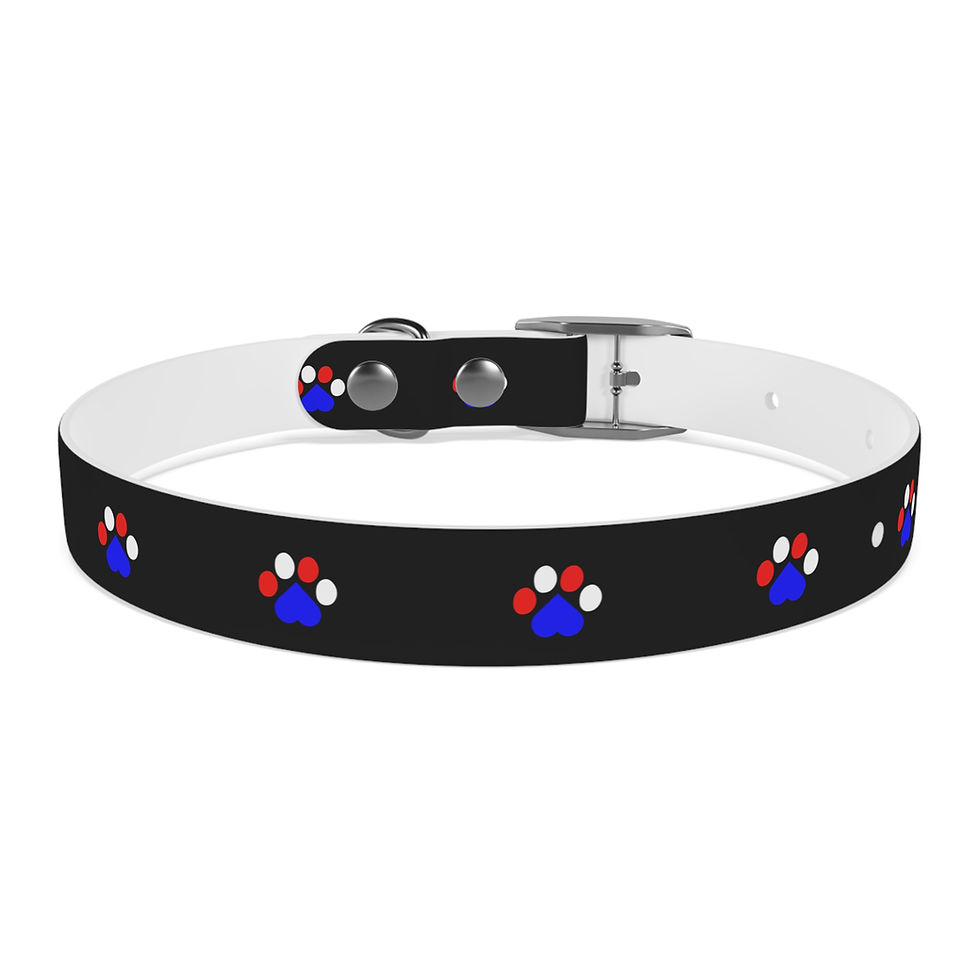 Thumbnail: Black dog collar with red, white, and blue paw prints.