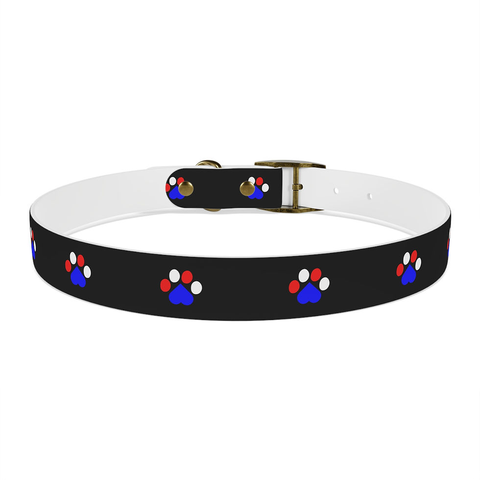 Thumbnail: Black dog collar with blue, white, and red paw prints pattern.