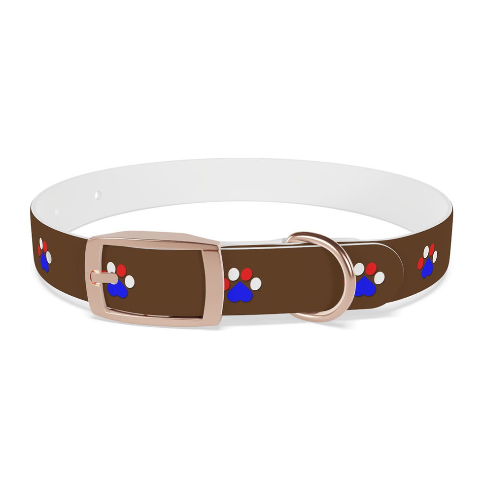 Thumbnail: Brown dog collar with blue and red paw prints, rose gold buckle.