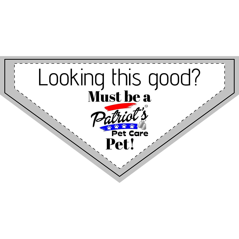 Thumbnail: Pet bandana with "Looking this good? Must be a Patriot's Pet Care Pet!"