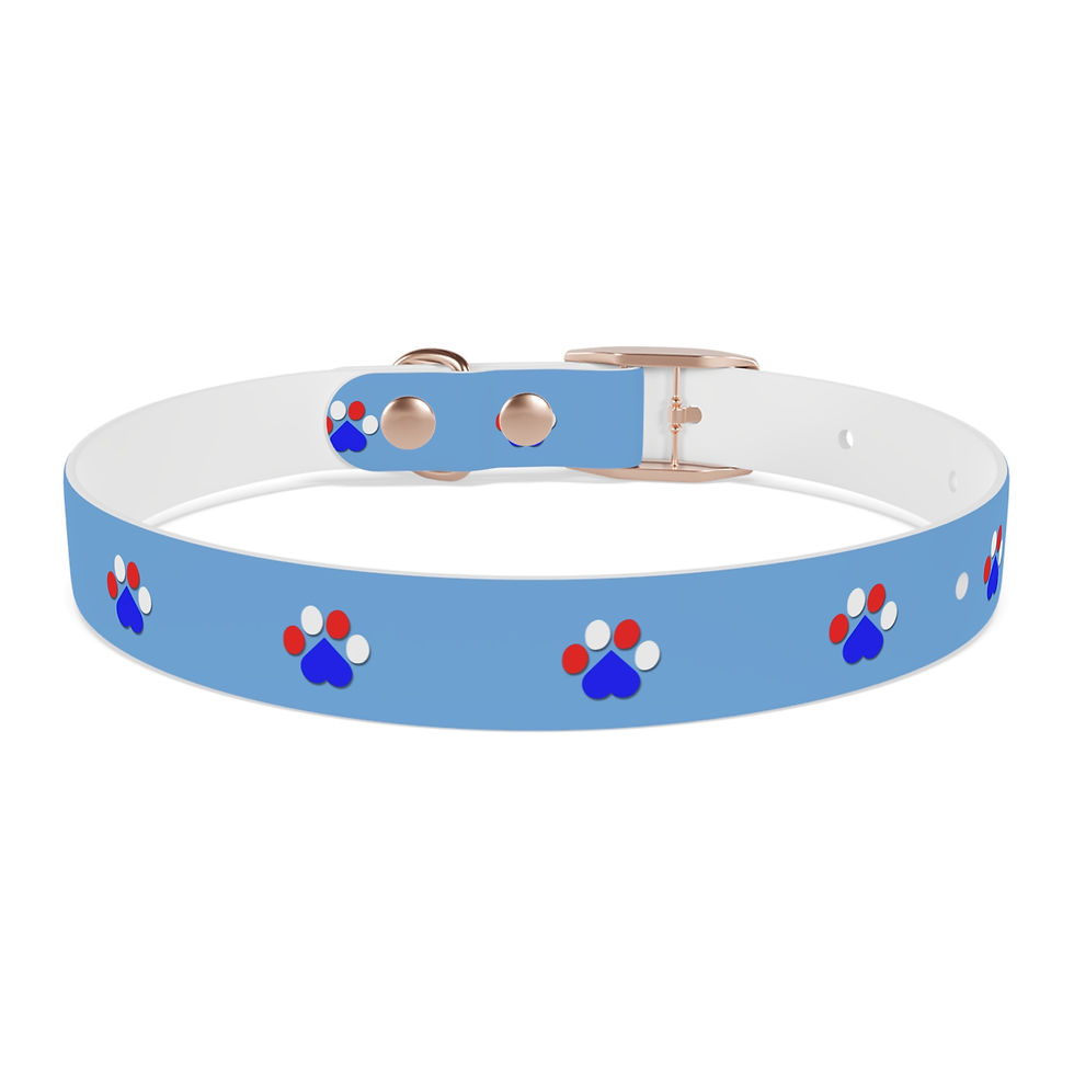 Thumbnail: Light blue pet collar with red, white, blue paw prints, rose gold hardware.