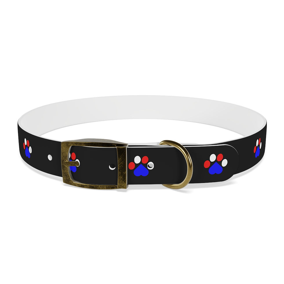 Thumbnail: Black dog collar with red, white, blue paw prints and brass buckle.