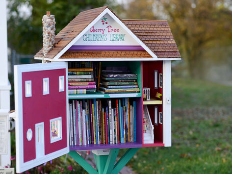 World’s Booklovers Open 125,000 Miniature Libraries