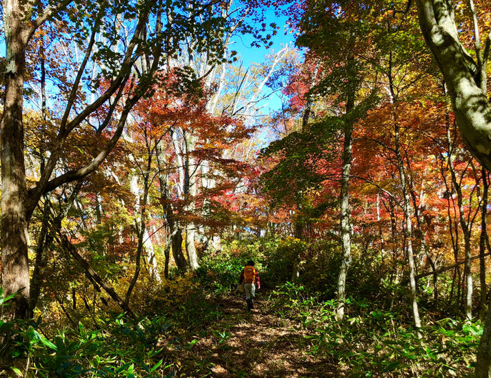 野人と魔女の学校『野遊び探険クラス』第6回 紅葉の里山を探検しよう!山と海を繋ぐロングトレイルハイキング