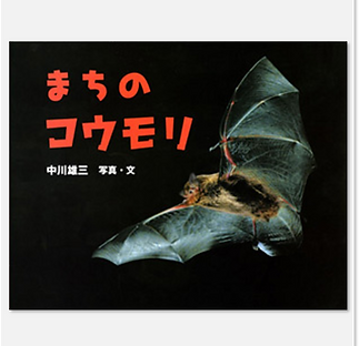まちのコウモリｂ.png