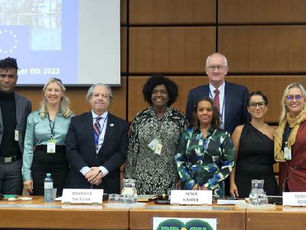 Europe-Brazil Dialogue Fosters Cooperation in Sustainable Development and Renewable Energy