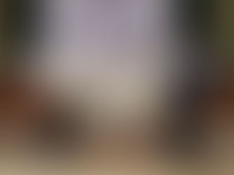 Cambodia Martial Art Competition Champions Peace through Sport