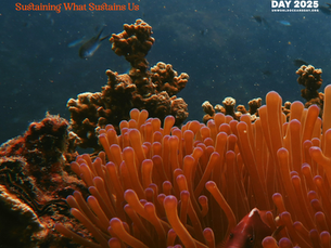 Appreciating the Value and Beauty of the Oceans