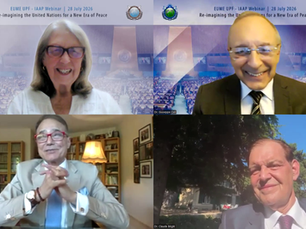European Experts in Global Webinar "Re-imagine” the UN
