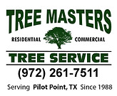 Safe and professional tree removal in Pilot Point Texas by Tree Masters Tree Service removing hazardous and storm damaged trees near homes and businesses.
