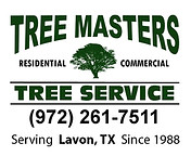 Tree Doctor - Help with sick trees in Lavon, TX.