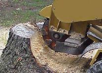 Stump Removal Grapevine TX