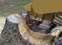 Stump Removal Irving TX
