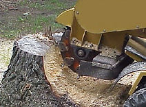Stump Grinding Frisco TX