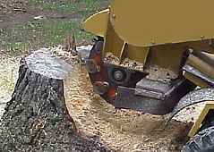 Stump Grinding Oak Point TX