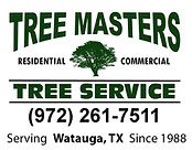 Professional arborist services in Watauga Texas by Tree Masters Tree Service including tree health evaluations, disease diagnosis, and expert tree care.