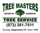 Professional arborist services in Grapevine Texas by Tree Masters Tree Service including tree health evaluations, disease diagnosis, and expert tree care.