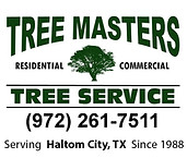Safe and professional tree removal in Haltom City Texas by Tree Masters Tree Service removing hazardous and storm damaged trees near homes and businesses.