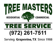 Professional tree trimming and tree pruning in Grapevine Texas by Tree Masters Tree Service to improve tree health, structure, and safety.