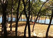 Wylie Lot Clearing