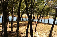 Parker Land Clearing