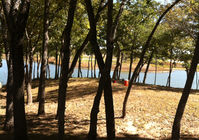 Hickory Creek Land Clearing