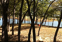 Ponder Land Clearing