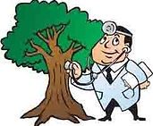 Prosper Tree Surgeon
